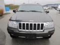2004 Dark Khaki Pearl Jeep Grand Cherokee Limited 4x4  photo #10