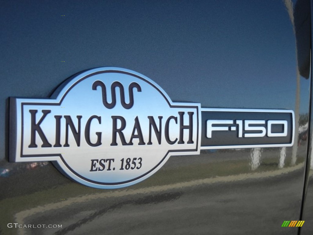 2008 F150 King Ranch SuperCrew 4x4 - Stone Green Metallic / Tan/Castaño Leather photo #9
