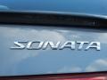 2009 Slate Blue Hyundai Sonata SE V6  photo #9