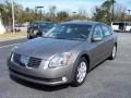 Spirited Bronze - Maxima 3.5 SL Photo No. 1