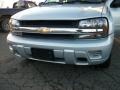 2008 Moondust Metallic Chevrolet TrailBlazer LT 4x4  photo #42