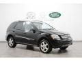 Black - ML 350 4Matic Photo No. 1