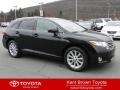 2009 Black Toyota Venza I4  photo #1