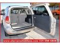 Savannah Metallic - RAV4 I4 Photo No. 18