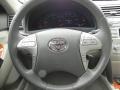 Sandy Beach Metallic - Camry  Photo No. 4