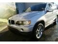 2001 Titanium Silver Metallic BMW X5 3.0i  photo #24