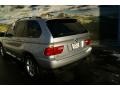 2001 Titanium Silver Metallic BMW X5 3.0i  photo #25