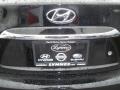 Ebony Black - Elantra GLS Photo No. 17