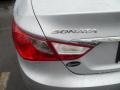 Radiant Silver - Sonata GLS Photo No. 18
