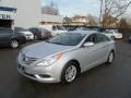 Radiant Silver - Sonata GLS Photo No. 4