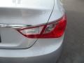 Radiant Silver - Sonata GLS Photo No. 21