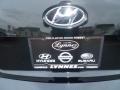 2010 Ebony Black Hyundai Sonata GLS  photo #22