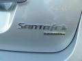 Irridescent Silver Blue Metallic - Santa Fe GLS 4WD Photo No. 17