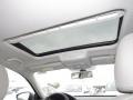 Platinum Gray Metallic - Passat 2.5L SEL Photo No. 6