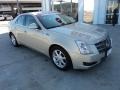 Gold Mist - CTS Sedan Photo No. 2