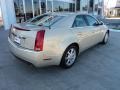 Gold Mist - CTS Sedan Photo No. 3