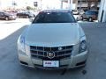 Gold Mist - CTS Sedan Photo No. 7
