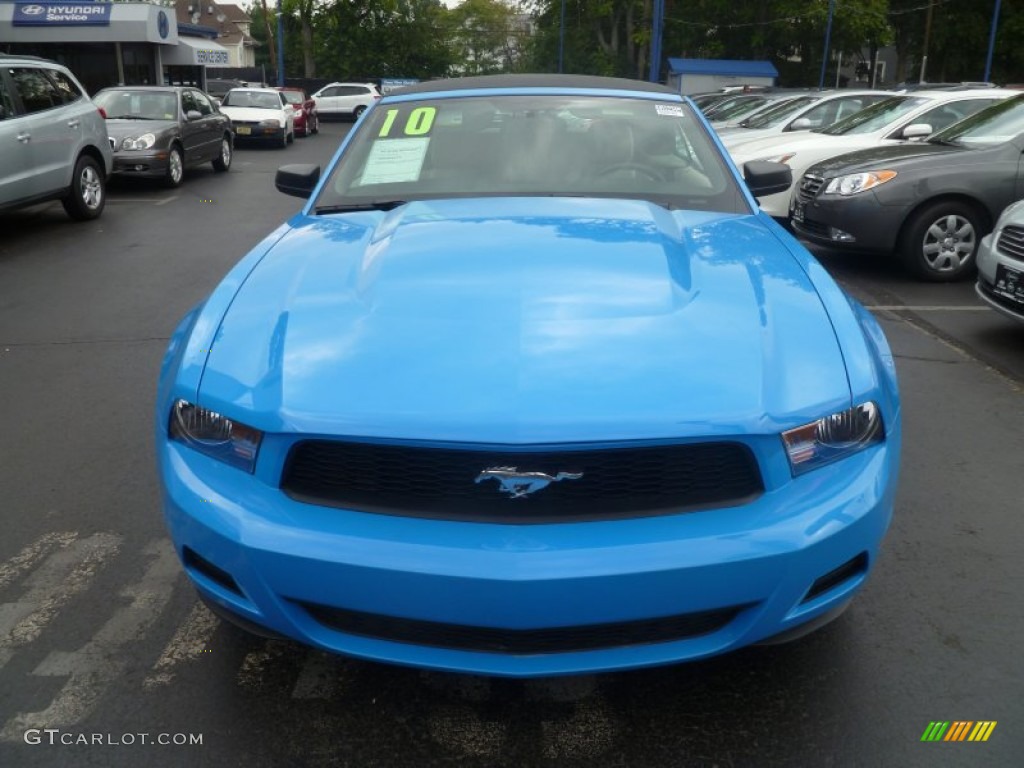 2010 Mustang V6 Premium Convertible - Grabber Blue / Saddle photo #1