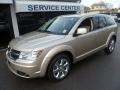 Light Sandstone Metallic - Journey SXT AWD Photo No. 6