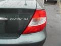 Aspen Green Pearl - Camry XLE Photo No. 18