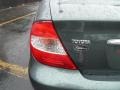 Aspen Green Pearl - Camry XLE Photo No. 19