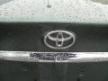 Aspen Green Pearl - Camry XLE Photo No. 20