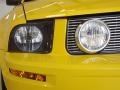 2006 Screaming Yellow Ford Mustang GT Premium Coupe  photo #24