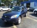 Nautical Blue Metallic - RAV4  Photo No. 4