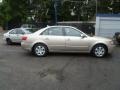 Camel Pearl - Sonata GLS Photo No. 6