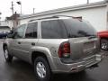 Light Pewter Metallic - TrailBlazer LS 4x4 Photo No. 2