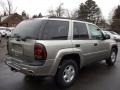 Light Pewter Metallic - TrailBlazer LS 4x4 Photo No. 12