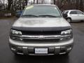 Light Pewter Metallic - TrailBlazer LS 4x4 Photo No. 16