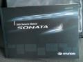 Radiant Silver - Sonata GLS Photo No. 20