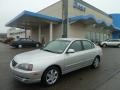 Sterling Metallic - Elantra GLS Sedan Photo No. 1