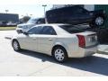 Gold Mist - CTS Sedan Photo No. 39