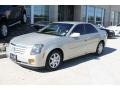 Gold Mist - CTS Sedan Photo No. 40