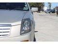Gold Mist - CTS Sedan Photo No. 41