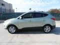 2012 Kiwi Green Hyundai Tucson GLS  photo #6