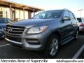 Palladium Silver Metallic - ML 350 4Matic Photo No. 1