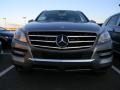 Palladium Silver Metallic - ML 350 4Matic Photo No. 2