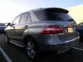 Palladium Silver Metallic - ML 350 4Matic Photo No. 3