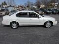 Icelandic Pearl - Maxima GLE Photo No. 2