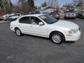 Icelandic Pearl - Maxima GLE Photo No. 4