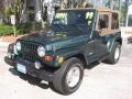 1999 Forest Green Pearlcoat Jeep Wrangler Sahara 4x4  photo #5