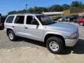 1999 Bright Platinum Metallic Dodge Durango SLT 4x4  photo #2