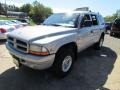 Bright Platinum Metallic - Durango SLT 4x4 Photo No. 11