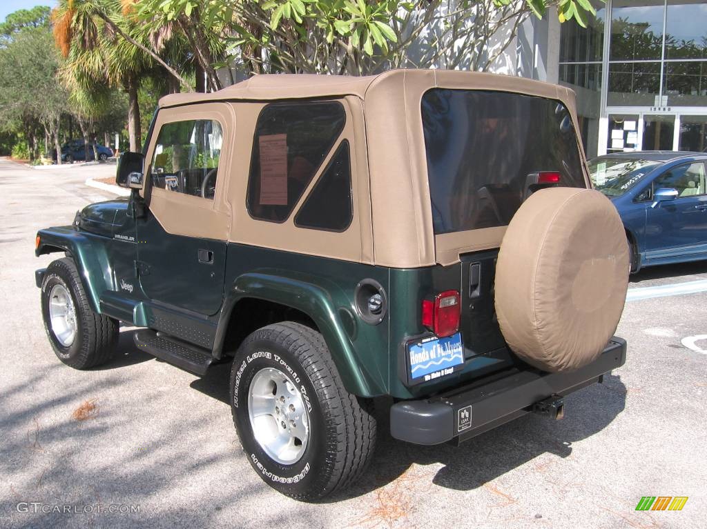 1999 Wrangler Sahara 4x4 - Forest Green Pearlcoat / Camel/Dark Green photo #7