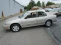 Platinum Metallic - Altima GLE Photo No. 10
