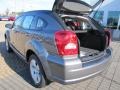Tungsten Metallic - Caliber SXT Photo No. 8