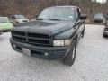 1996 Spruce Green Pearl Dodge Ram 1500 ST Extended Cab 4x4  photo #3